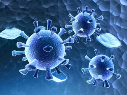 Bakterije koje mijenjaju budućnost gradova Bakterije koje mijenjaju budućnost gradova