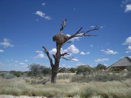 Africi zbog ebole prijeti glad Africi zbog ebole prijeti glad