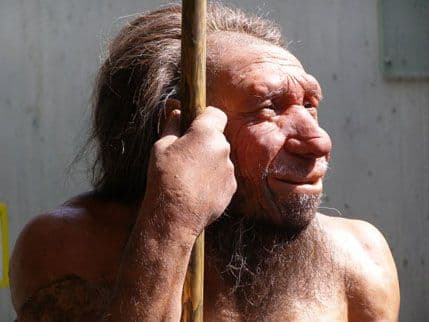Da li su neandertalci bili umjetnici? Da li su neandertalci bili umjetnici?