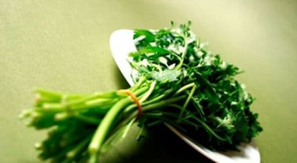 Recept za lijek za srce star 800 godina Recept za lijek za srce star 800 godina