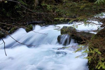 U nesreći kod Rožaja poginuo muškarac U nesreći kod Rožaja poginuo muškarac