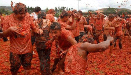 Holanđani se gađaju paradajzom zbog Putina Holanđani se gađaju paradajzom zbog Putina