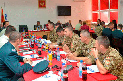 Hrebičkova: Crna Gora doprinosi stabilnosti i bezbjednosti regiona Hrebičkova: Crna Gora doprinosi stabilnosti i bezbjednosti regiona