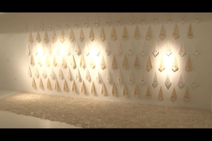 VIDEO: Otvorena izložba „Koegzistencija- za novi jadranski koine“ VIDEO: Otvorena izložba „Koegzistencija- za novi jadranski koine“