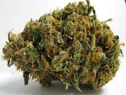 Kalifornija: Gratis marihuana za siromašne Kalifornija: Gratis marihuana za siromašne