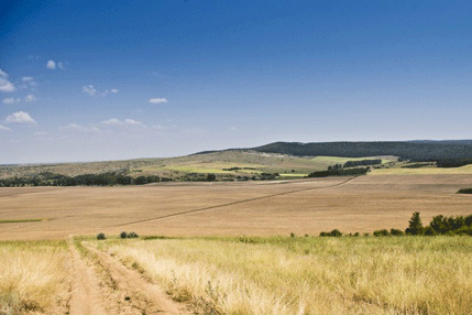 Rusija nudi Iranu žito za naftu Rusija nudi Iranu žito za naftu