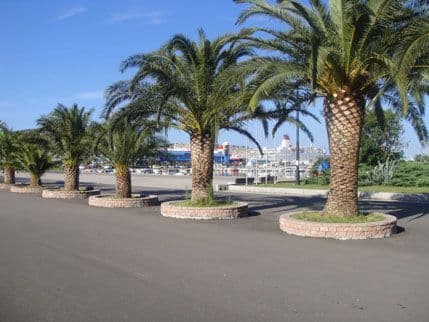 Za nadležne struja stigla oko 14 časova, šteta što građani nisu znali Za nadležne struja stigla oko 14 časova, šteta što građani nisu znali