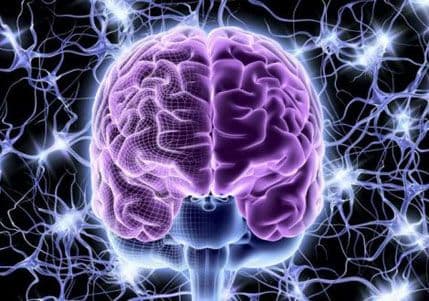 Naš mozak klasifikuje podatke i tokom sna Naš mozak klasifikuje podatke i tokom sna