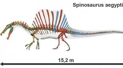 Otkriven dinosaur tri metra veći od T-reksa Otkriven dinosaur tri metra veći od T-reksa