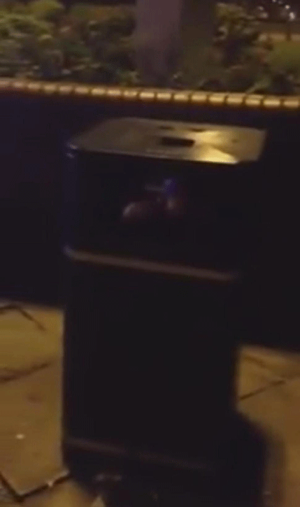 VIDEO: Studenta iz kante za smeće spasili vatrogasci VIDEO: Studenta iz kante za smeće spasili vatrogasci