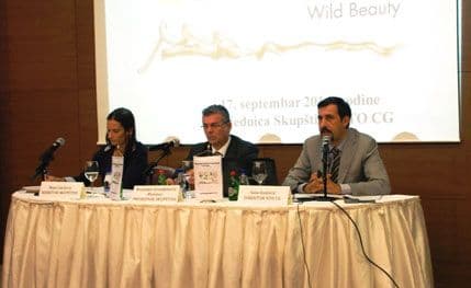 NTO: Do kraja jula ostvareno preko četiri miliona noćenja NTO: Do kraja jula ostvareno preko četiri miliona noćenja