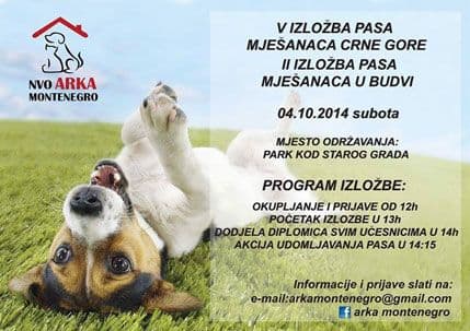 Na Dan zaštite životinja u Budvi biće održana izložba pasa mješanaca Na Dan zaštite životinja u Budvi biće održana izložba pasa mješanaca