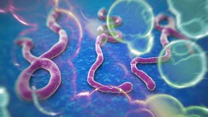 Formiran medicinski tim za slučaj da se ebola pojavi u Crnoj Gori Formiran medicinski tim za slučaj da se ebola pojavi u Crnoj Gori