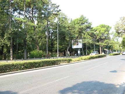 Zabrana saobraćaja na bulevaru Svetog Petra Zabrana saobraćaja na bulevaru Svetog Petra