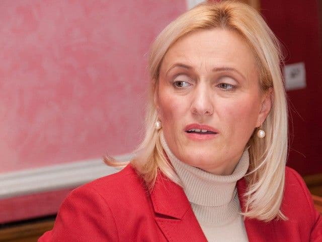 JASAVIĆ: Radna verzija zakona ne spriječava zloupotrebe JASAVIĆ: Radna verzija zakona ne spriječava zloupotrebe