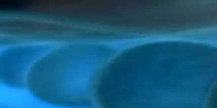 Ona je ubila više ljudi nego morski psi i krokodili zajedno! Ona je ubila više ljudi nego morski psi i krokodili zajedno!