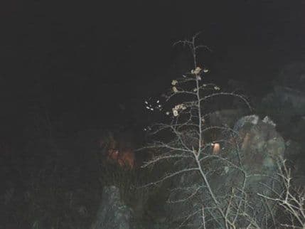 Kotor: Rus spašen sa Vrmca Kotor: Rus spašen sa Vrmca