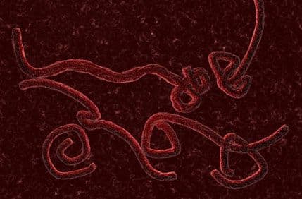 Vlada će odrediti objekat za karantin u slučaju da se pojavi ebola Vlada će odrediti objekat za karantin u slučaju da se pojavi ebola