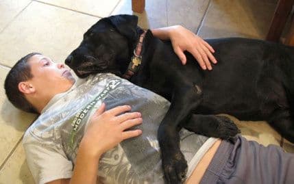 Zašto ljubimci blagotvorno utiču na nas? Zašto ljubimci blagotvorno utiču na nas?