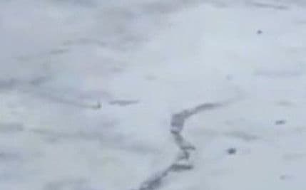 VIDEO: Misteriozno čudovište snimljeno u jezeru na Islandu! VIDEO: Misteriozno čudovište snimljeno u jezeru na Islandu!