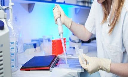 Da li čovječanstvo ima više majki ili očeva? Da li čovječanstvo ima više majki ili očeva?