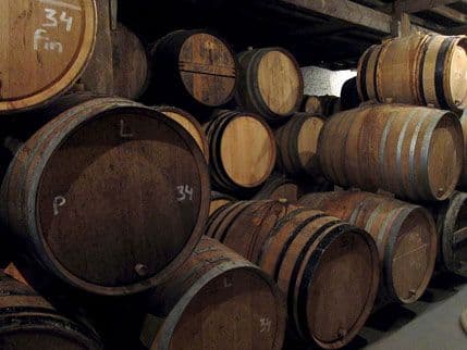 Te noći je pivo preplavilo ulice Te noći je pivo preplavilo ulice