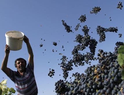 Zbog otpremnina režu granu na kojoj sjede Zbog otpremnina režu granu na kojoj sjede