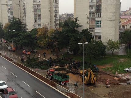 Posječeni borovi kod Pet solitera zbog rekonstrukcije puta Posječeni borovi kod Pet solitera zbog rekonstrukcije puta