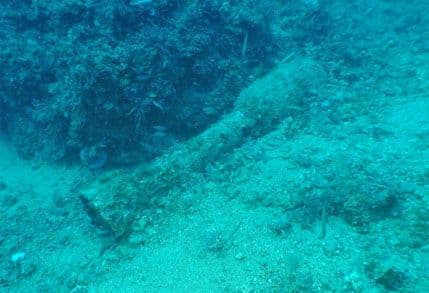 VIDEO: Oprez: Raketna bomba kod Mamule! VIDEO: Oprez: Raketna bomba kod Mamule!