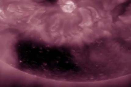 NASA otkrila rupu na Suncu NASA otkrila rupu na Suncu