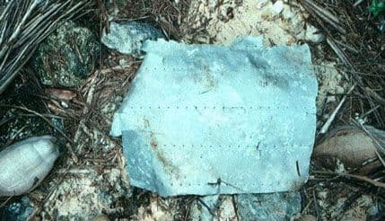 Pronađen dio aviona Amelije Erhart? Pronađen dio aviona Amelije Erhart?