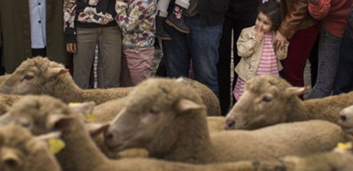 Jesenje proslave u znaku životinja Jesenje proslave u znaku životinja