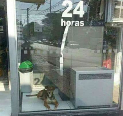 Iz prostorije sa bankomatom u novi dom Iz prostorije sa bankomatom u novi dom