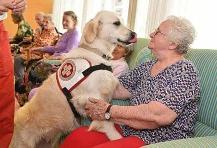 „Psi za posjetu“ u Beču „Psi za posjetu“ u Beču