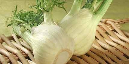 Komorač štiti vaše zdravlje i energiju Komorač štiti vaše zdravlje i energiju