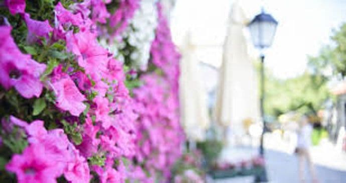 Lijepo vrijeme očekuje nas do iduće sedmice Lijepo vrijeme očekuje nas do iduće sedmice