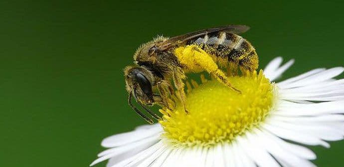 I životinje pate od bolesti zavisnosti I životinje pate od bolesti zavisnosti