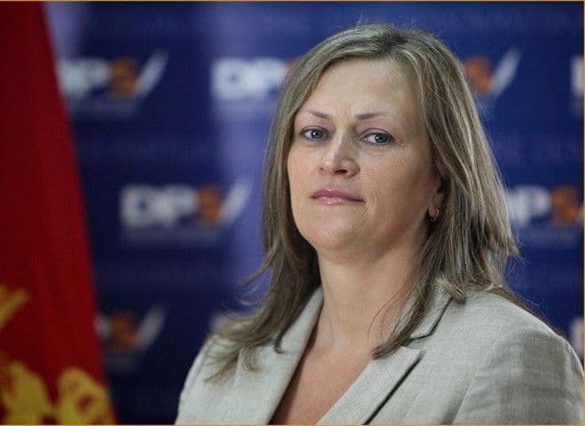 Drobnjak: Ponuđen jednostrani pogled Drobnjak: Ponuđen jednostrani pogled