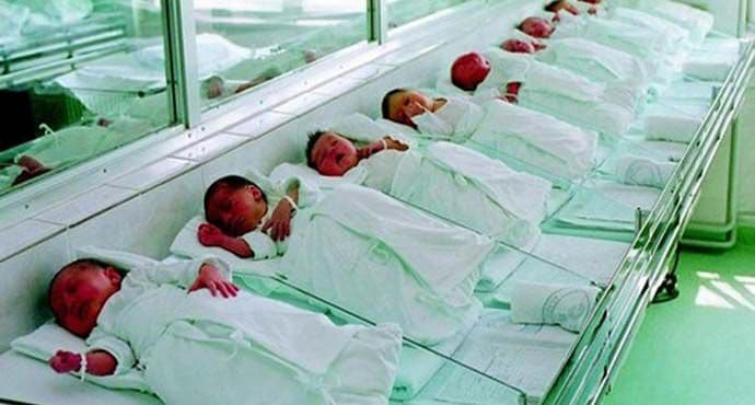 KCCG: Rođeno šest djevojčica i jedan dječak KCCG: Rođeno šest djevojčica i jedan dječak