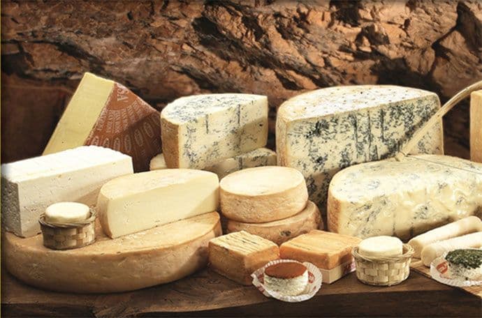 Vikičiz, prva internet enciklopedija sireva  Vikičiz, prva internet enciklopedija sireva