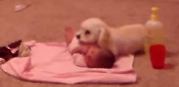 VIDEO: Kako se beba čuva od usisivača VIDEO: Kako se beba čuva od usisivača