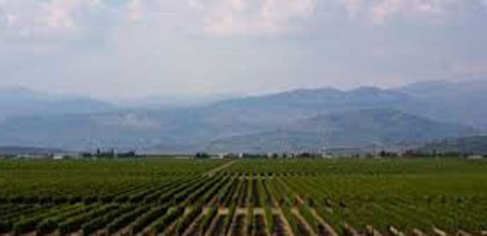 MPRR: Priznati prvi klonovi crnogorskih autohtonih sorti vinove loze MPRR: Priznati prvi klonovi crnogorskih autohtonih sorti vinove loze