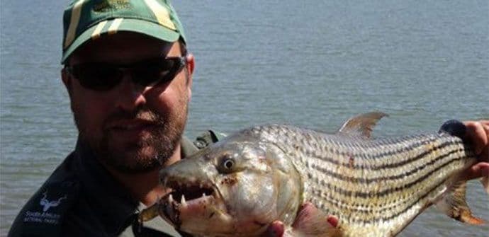 AFRIKA: Golfera pojeo krokodil, morali da raspore zvijer da bi izvukli tijelo AFRIKA: Golfera pojeo krokodil, morali da raspore zvijer da bi izvukli tijelo