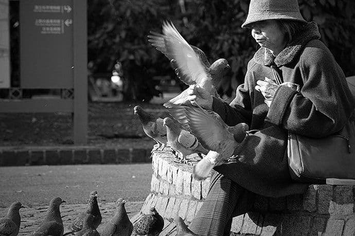 Čemu Japanci duguju dugovječnost? Čemu Japanci duguju dugovječnost?