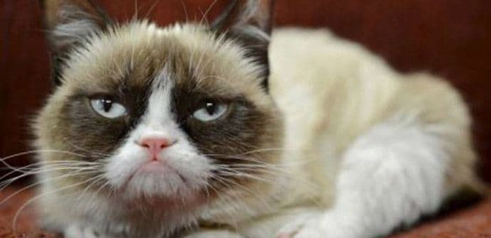 Ona je stalno mrzovoljna. I tako je zaradila 76 miliona eura Ona je stalno mrzovoljna. I tako je zaradila 76 miliona eura