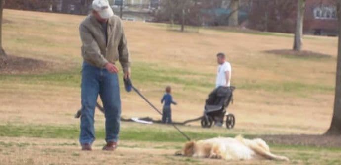 Kad ljubimac ne želi da ide iz parka (VIDEO) Kad ljubimac ne želi da ide iz parka (VIDEO)