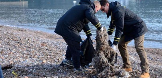Zaposleni u kompaniji Dukley Marina očistili priobalje Zaposleni u kompaniji Dukley Marina očistili priobalje