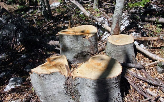 Građani telefonom mogu prijaviti ekokriminal Građani telefonom mogu prijaviti ekokriminal