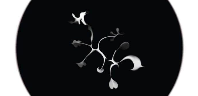 "Magija kruga" Katarine Švabić u Ateljeu "Dado" "Magija kruga" Katarine Švabić u Ateljeu "Dado"