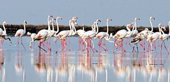 Jovović: Zabranjeni lov i ribolov na području solane Jovović: Zabranjeni lov i ribolov na području solane